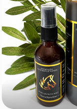 Load image into Gallery viewer, Booster Spray  Mist
