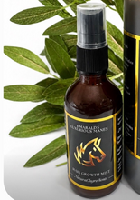 Load image into Gallery viewer, Booster Spray  Mist
